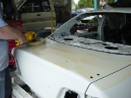 Polish